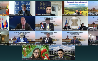 THE 46th MEETING OF THE ASEAN MINISTERS ON AGRICULTURE AND FORESTRY (46th AMAF MEETING) AND RELATED MEETINGS